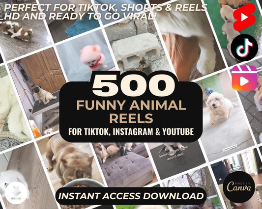 500 Funny Animal Reels | DFY Done For You Viral Reels | TikTok Instagram Reels Facebook Youtube Shorts | English Ready To Post
