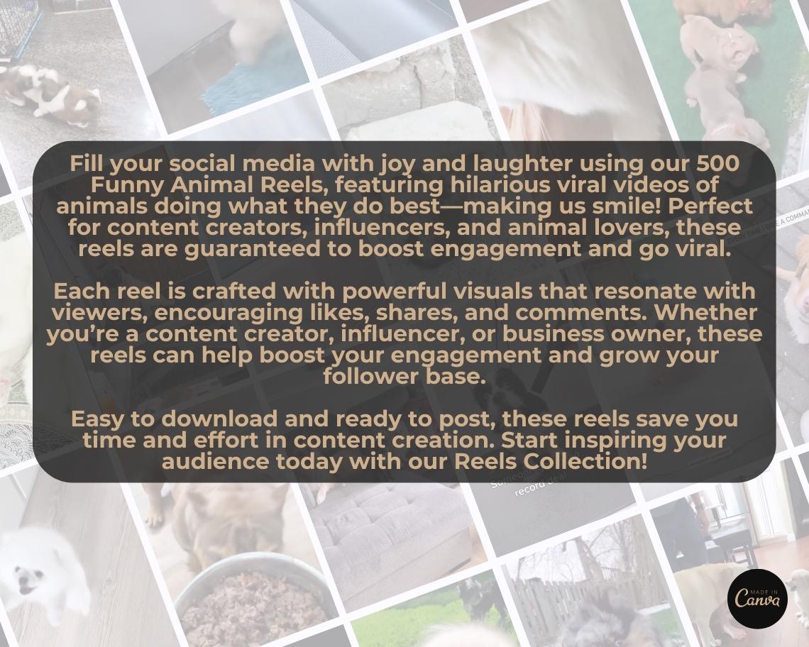500 Funny Animal Reels | DFY Done For You Viral Reels | TikTok Instagram Reels Facebook Youtube Shorts | English Ready To Post