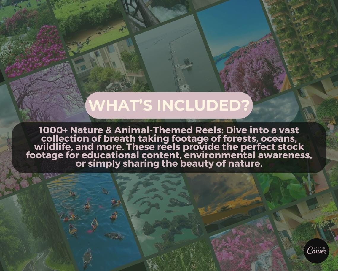1000+ Nature & Animal Reels | Aesthetic Stock Footage Viral Clips | TikTok Instagram Reels Facebook Youtube Shorts | Easy To Edit Videos