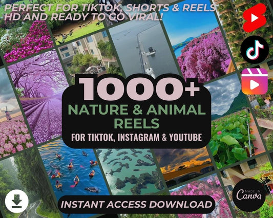 1000+ Nature & Animal Reels | Aesthetic Stock Footage Viral Clips | TikTok Instagram Reels Facebook Youtube Shorts | Easy To Edit Videos