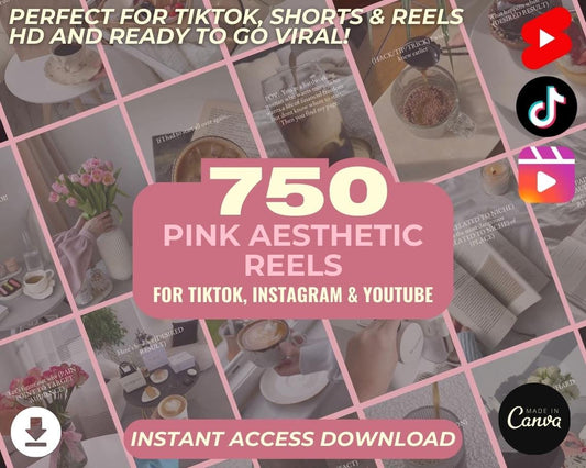 750 Pink Aesthetic Insta Reels BUNDLE | DFY Done For You Posts  | TikTok Instagram Reels Facebook Youtube Shorts | Captioned Easy Edit