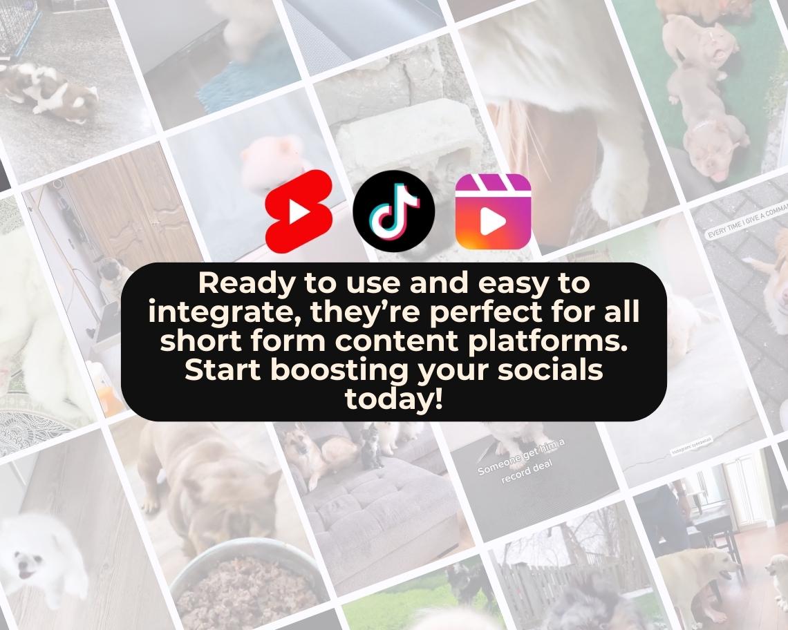 500 Funny Animal Reels | DFY Done For You Viral Reels | TikTok Instagram Reels Facebook Youtube Shorts | English Ready To Post